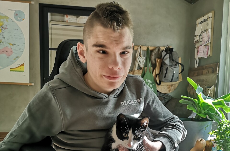 Teije 2 uitsnede